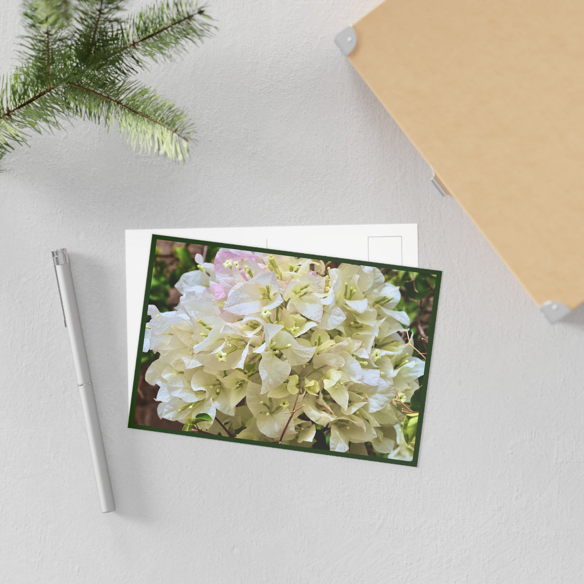 White Bougainvillea Fine Art Postcard – Floral Botanical Greeting Card - GMLC Photography