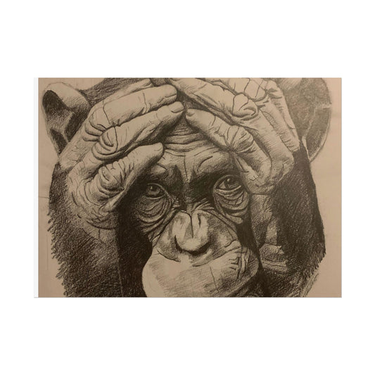 Chimpanzee Pencil Sketch Poster — Realistic Primate Art Print (Rolled)