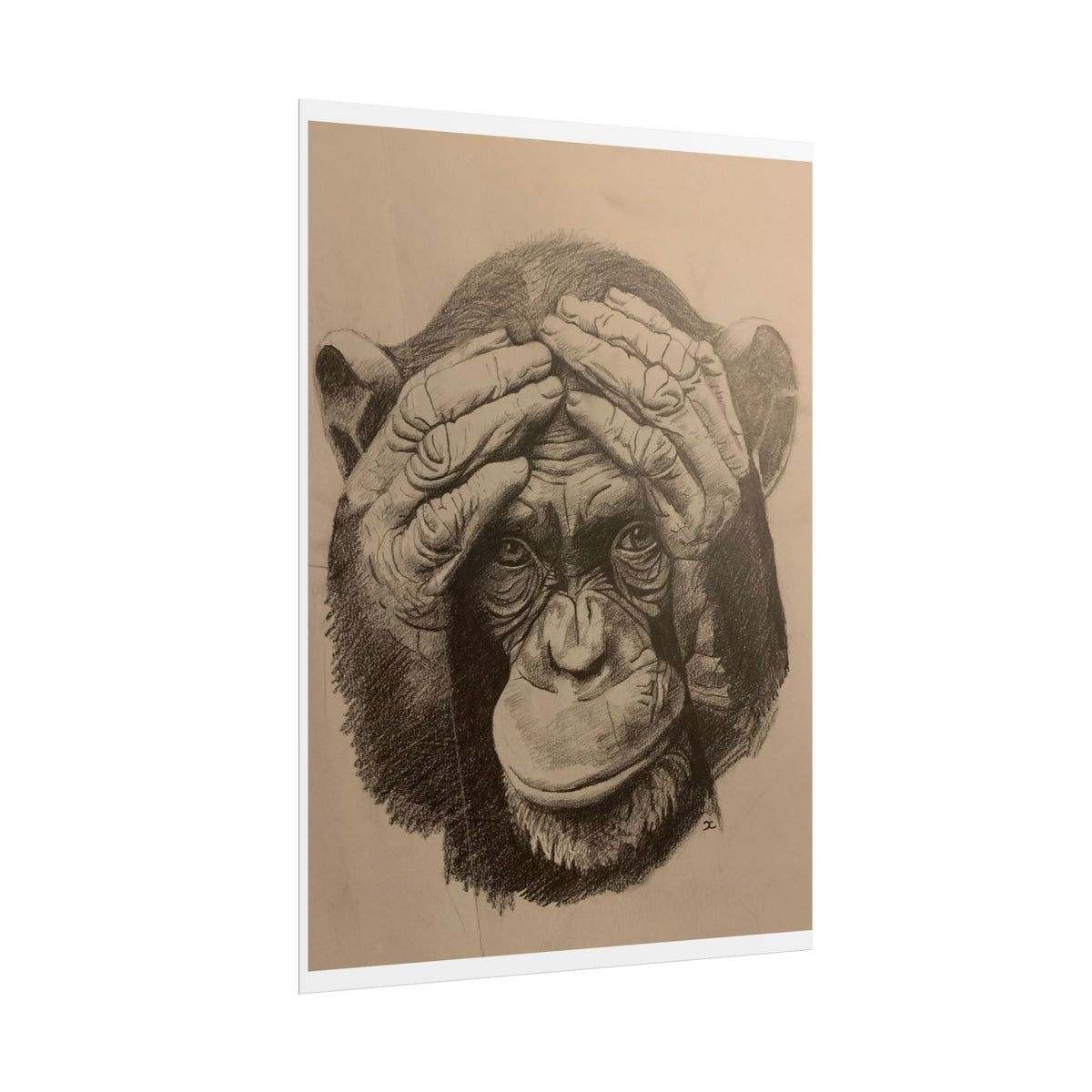 Chimpanzee Pencil Sketch Poster — Realistic Primate Art Print (Rolled)