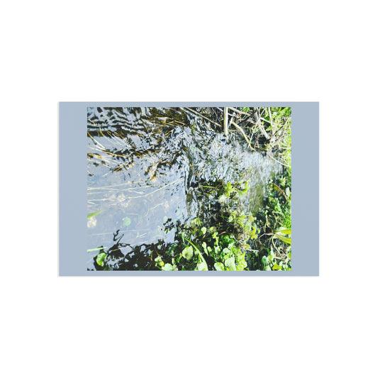 Fine Art Postcards — River Reflection Nature Photo Set