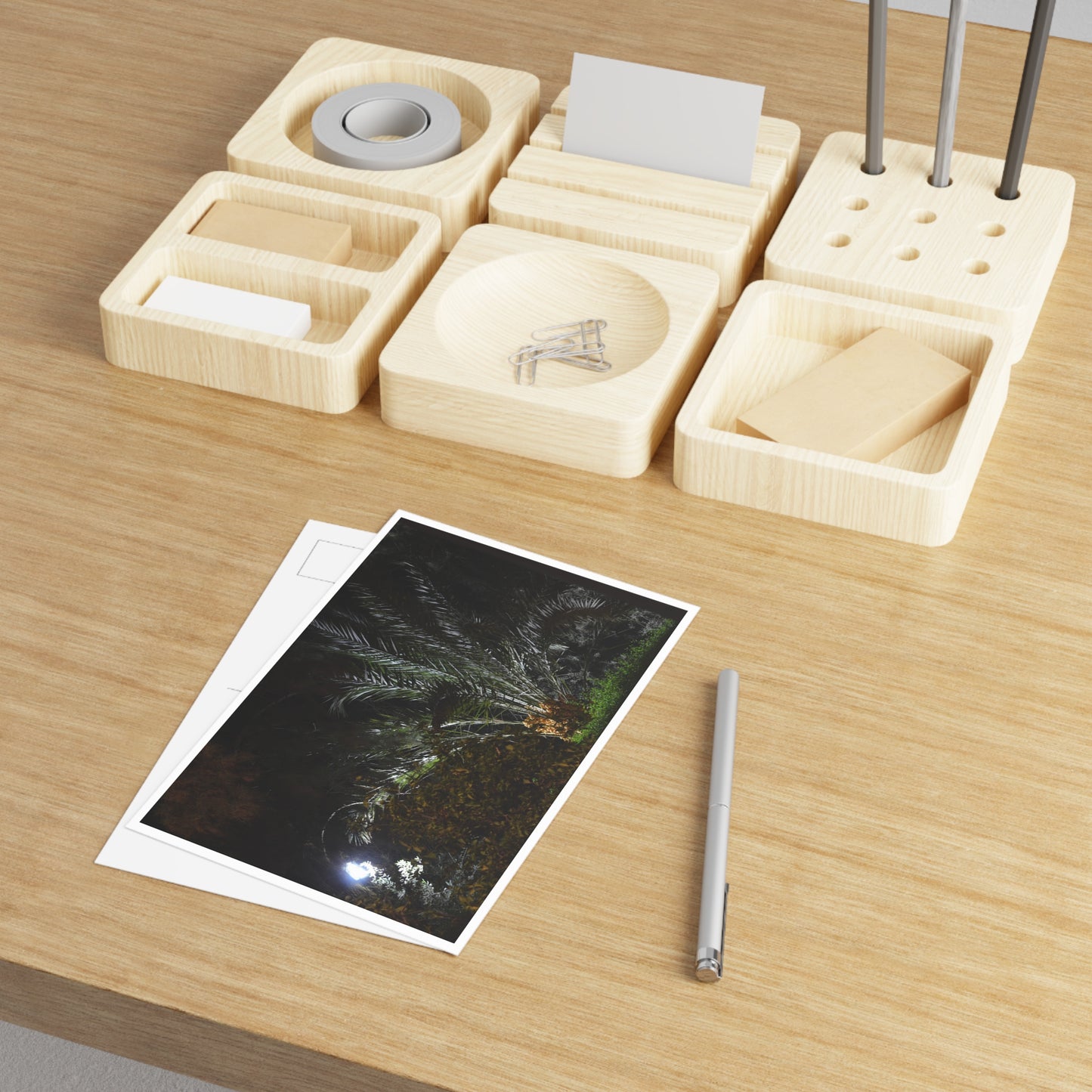 Fine Art Postcard — Night Palm Photo Card