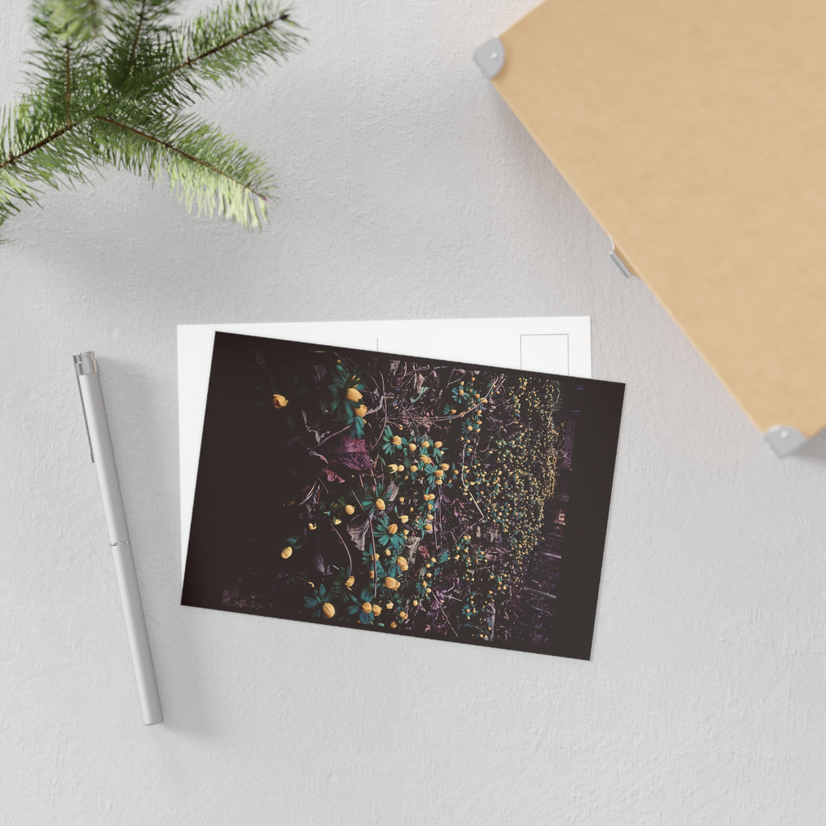 Fine Art Postcard Set — Moody Yellow Wildflower Photography (4x6) GMLC Photography