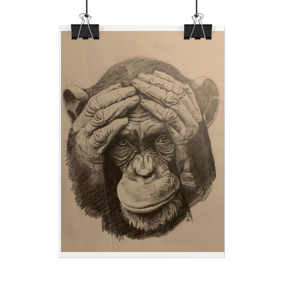 Chimpanzee Pencil Sketch Poster — Realistic Primate Art Print (Rolled)