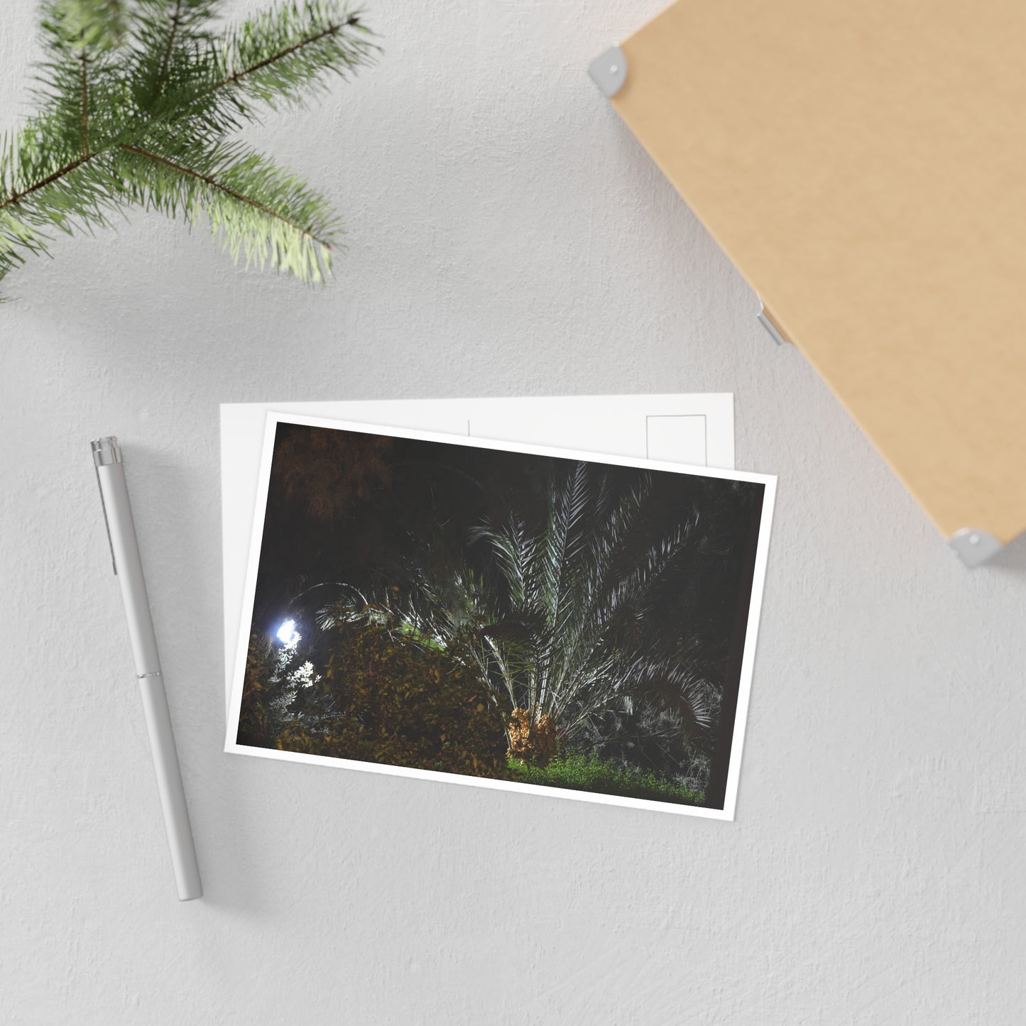Fine Art Postcard — Night Palm Photo Card