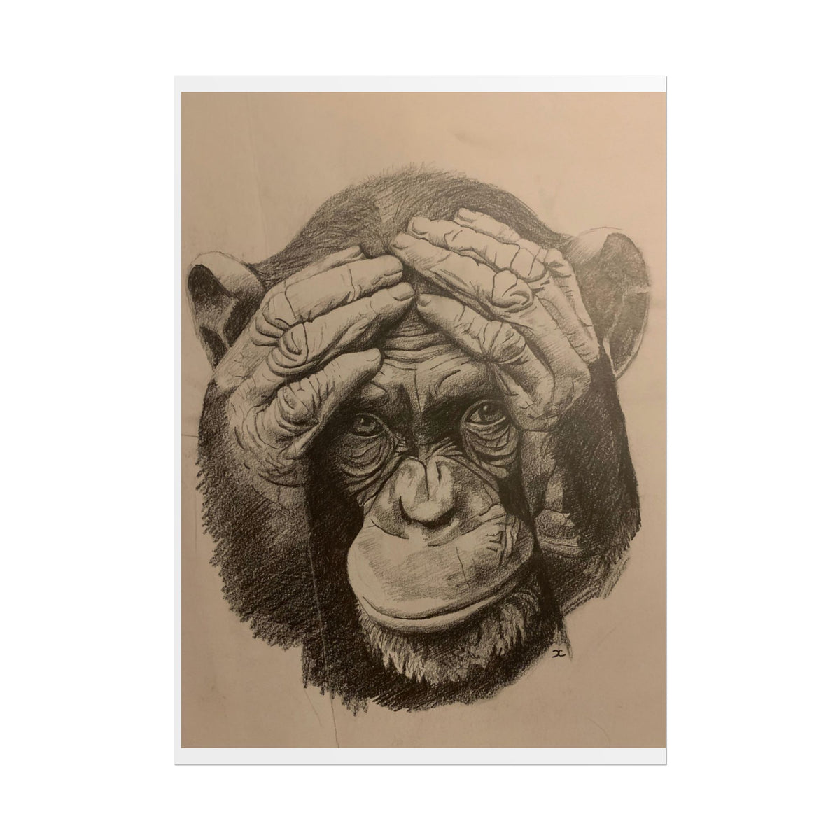 Chimpanzee Pencil Sketch Poster — Realistic Primate Art Print (Rolled)