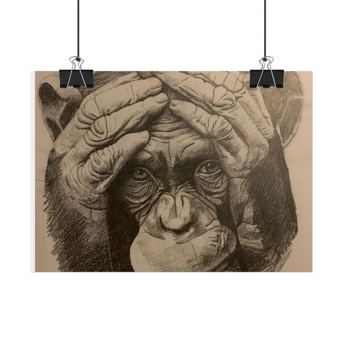 Chimpanzee Pencil Sketch Poster — Realistic Primate Art Print (Rolled)