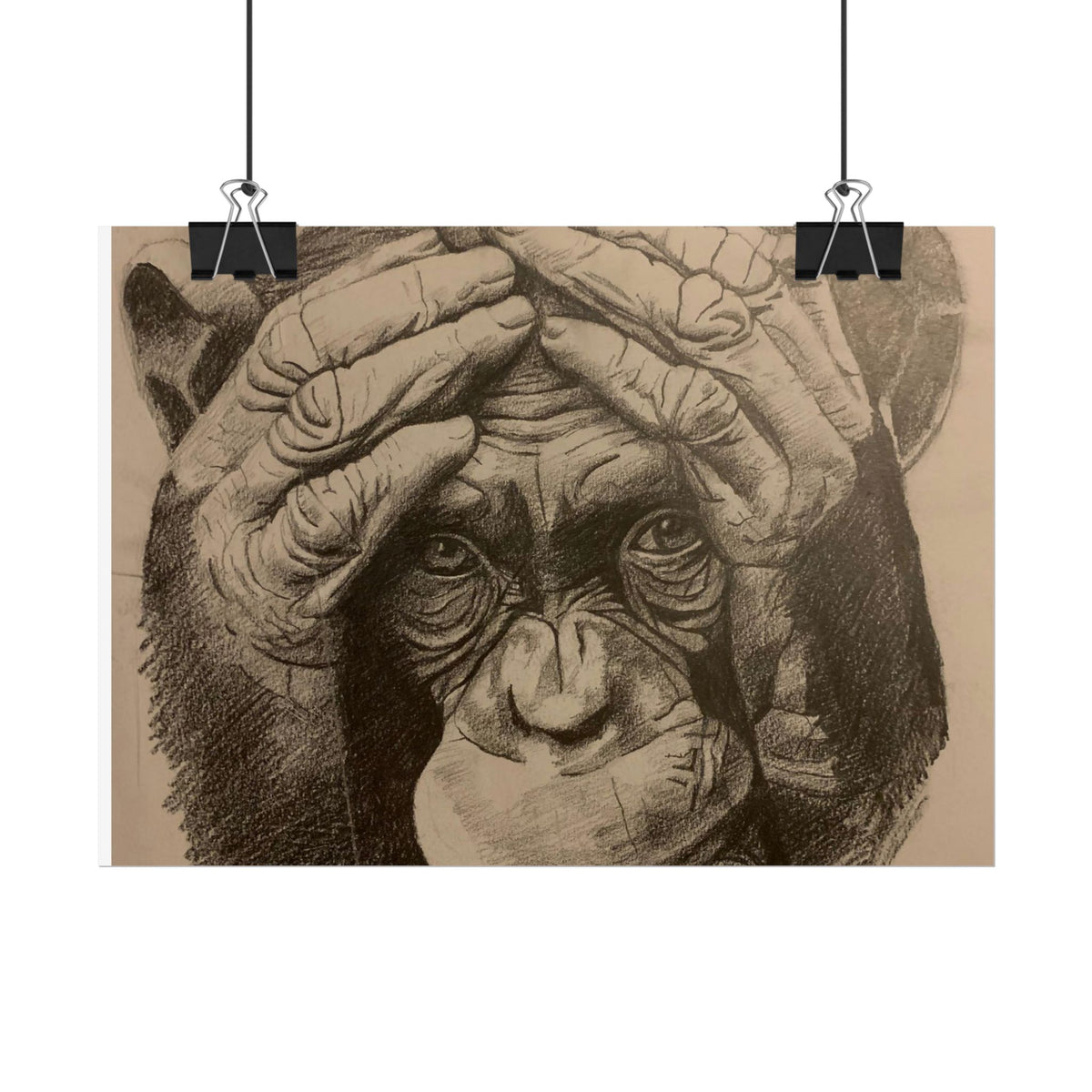 Chimpanzee Pencil Sketch Poster — Realistic Primate Art Print (Rolled)