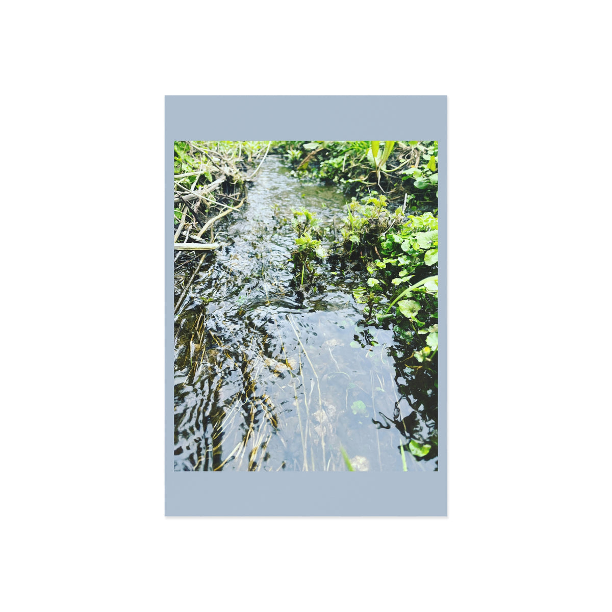 Fine Art Postcards — River Reflection Nature Photo Set GMLC Photography